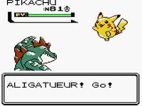 une photo d'Ã©cran de Pokemon Or sur Nintendo Game Boy Color